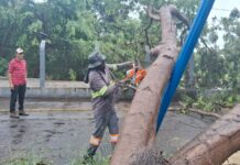 Prefeito de Guanambi e equipes da SEINFRA e Defesa Civil atuam desde a madrugada após temporal de 100mm