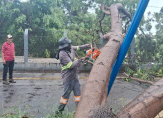 Prefeito de Guanambi e equipes da SEINFRA e Defesa Civil atuam desde a madrugada após temporal de 100mm