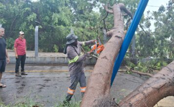 Prefeito de Guanambi e equipes da SEINFRA e Defesa Civil atuam desde a madrugada após temporal de 100mm