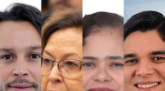 Estimativa divulgada por site indica possível quantidade de vagas por partido para DEPUTADO FEDERAL nas Eleições de 2026 na Bahia: PSD poderá eleger até 6 deputados; PSB elegeria 2 deputados e projeção acende alerta no partido de LÍDICE DA MATA