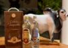 CACHAÇA BUQUEIRÃO parabeniza os organizadores da EXPOSIÇÃO AGROPECUÁRIA de Guanambi, um sucesso! A CACHAÇA BUQUEIRÃO é a mais antiga cachaça registrada e documentada do Brasil, bebida genuína e autêntica, desde 1932, de SEBASTIÃO LARANJEIRAS-BA, para o mundo