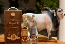 CACHAÇA BUQUEIRÃO parabeniza os organizadores da EXPOSIÇÃO AGROPECUÁRIA de Guanambi, um sucesso! A CACHAÇA BUQUEIRÃO é a mais antiga cachaça registrada e documentada do Brasil, bebida genuína e autêntica, desde 1932, de SEBASTIÃO LARANJEIRAS-BA, para o mundo
